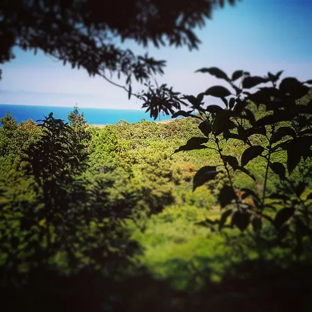 Caparica Azores Biscoitos (Terceira)