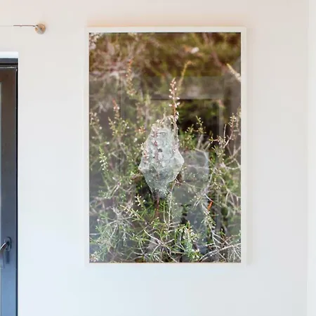 Caparica Azores Ośrodek wypoczynkowy Biscoitos (Terceira)