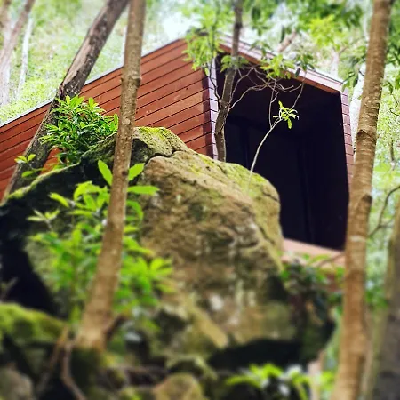 Caparica Azores Biscoitos (Terceira)