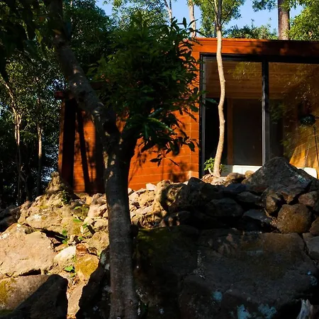 Caparica Azores Biscoitos (Terceira)