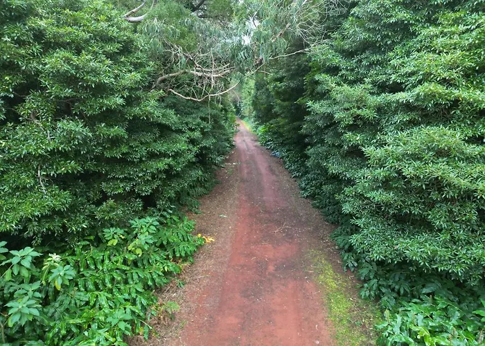Caparica Azores 리조트