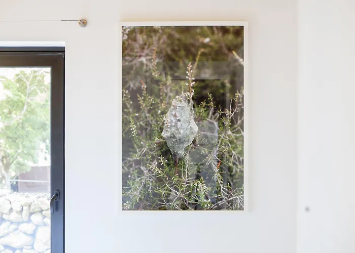 Caparica Azores 4* Biscoitos (Terceira)