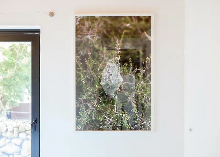 Caparica Azores 리조트 Biscoitos (Terceira)