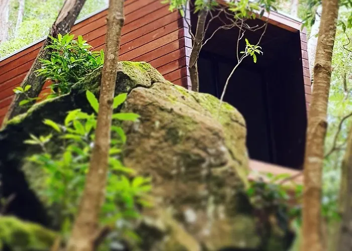 Caparica Azores Biscoitos (Terceira)