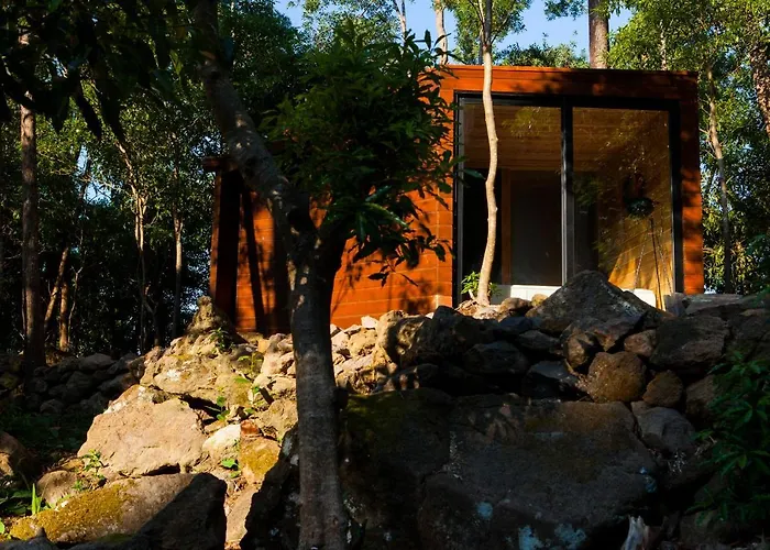 Caparica Azores Biscoitos